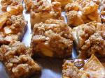 Apple Gingerbread Squares